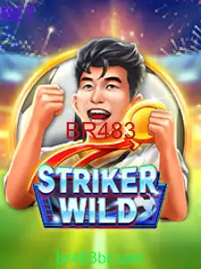 StrikerWILD